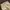 Wrangler Vintage Y2K Jeans Pria cream photo 2
