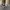 VANS Streetwear Skater Sneakers Pria cream photo 4