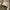 VANS Streetwear Skater Sneakers Pria cream photo 7