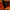 Sportswear Casual Windbreaker Pria orange photo 6