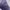 NEPA Gorpcore Bomber jacket Pria purple photo 6