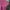 The North Face Gorpcore Casual T-shirt Wanita pink photo 4