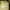 Vintage Indie Wanita yellow photo 3