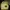 Vintage Indie Wanita yellow photo 1