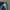 JNCO Vintage Y2K Jeans Pria navy blue photo 8
