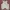 COLORBOX Cottagecore Coquette Fleece Wanita White