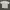 Oakley Vintage Y2K T-shirt Pria gray photo 1
