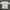 Oakley Vintage Y2K T-shirt Pria Gray