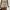 American Eagle Casual Short Wanita white photo 1