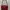 Marc Jacobs Luxury Shoulder bag Wanita burgundy photo 2