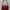 Marc Jacobs Luxury Shoulder bag Wanita burgundy photo 1