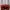 Marc Jacobs Luxury Shoulder bag Wanita burgundy photo 3