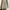 Coquette Casual Skirt Wanita white photo 1