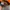 Streetwear Hat Pria orange photo 6