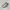 Reebok Casual Sneakers Pria white photo 3