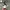 Converse Grunge Biker Boots Pria burgundy photo 4