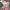 Converse Grunge Casual Sneakers Wanita pink photo 5