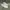 Converse Grunge Casual Sneakers Pria white photo 1