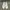Converse Grunge Casual Sneakers Pria white photo 5