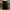 Y2K Sportswear Sweatpants & Joggers Pria black photo 4