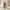 Japanese brand Vintage Fairy Skirt Wanita brown photo 1