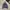 Streetwear Casual Hoody Pria gray photo 1