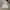 Casual Hoody Pria white photo 2
