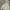Casual Hoody Pria white photo 4