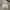 Casual Hoody Pria white photo 1