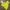 H&M Y2K Casual Bomber jacket Wanita yellow photo 1