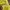 H&M Y2K Casual Bomber jacket Wanita yellow photo 2