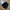 Burberry Streetwear Casual Top Kids black photo 1
