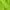 Casual Hoody Pria green photo 3