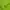 Casual Hoody Pria green photo 5