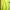 Casual Hoody Pria green photo 1