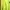 Casual Hoody Pria Green