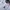 Adidas Streetwear Sportswear Bomber jacket Pria white red photo 3