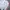 Adidas Streetwear Sportswear Bomber jacket Pria white red photo 2