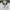 Fila Minimalist Polo shirt Pria white photo 3