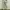 Casual High waisted jeans Wanita green photo 2