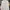 K-Swiss Luxury Polo shirt Pria white photo 1