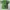 Y2K T-shirt Pria Green