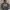GAP Minimalist Harrington jacket Pria gray photo 1