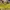 Guess Casual Tote bag Wanita yellow photo 1
