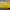 Guess Casual Tote bag Wanita yellow photo 2