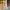 Guess Casual Tote bag Wanita yellow photo 4