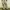 GU Casual Wide leg jeans Wanita cream photo 2