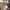 Casual Flare pants Wanita multicolor photo 6