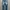 Evisu Y2K Biker Jeans Pria blue photo 1