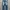 Evisu Y2K Biker Jeans Pria Blue